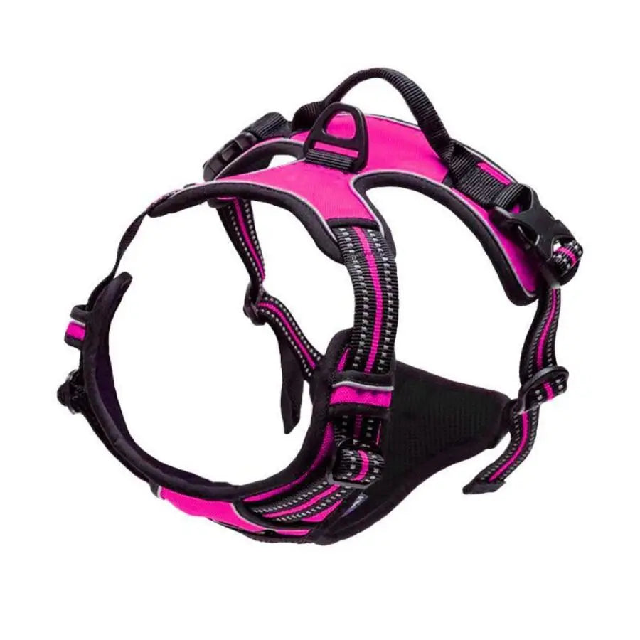 Heavy-Duty Front Clip Harness for Stress-Free Strolls