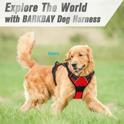Heavy-Duty Front Clip Harness for Stress-Free Strolls