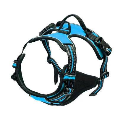 Heavy-Duty Front Clip Harness for Stress-Free Strolls