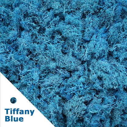 Artificial Moss for DIY Crafts & Home Décor