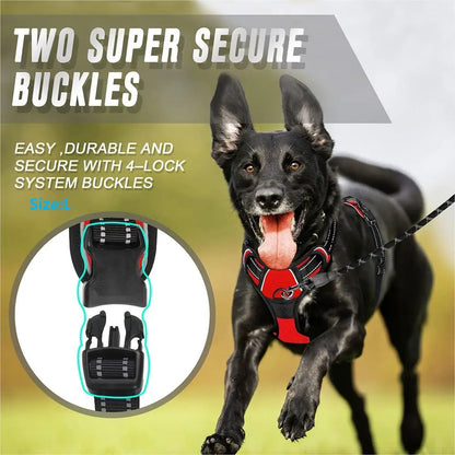 Heavy-Duty Front Clip Harness for Stress-Free Strolls