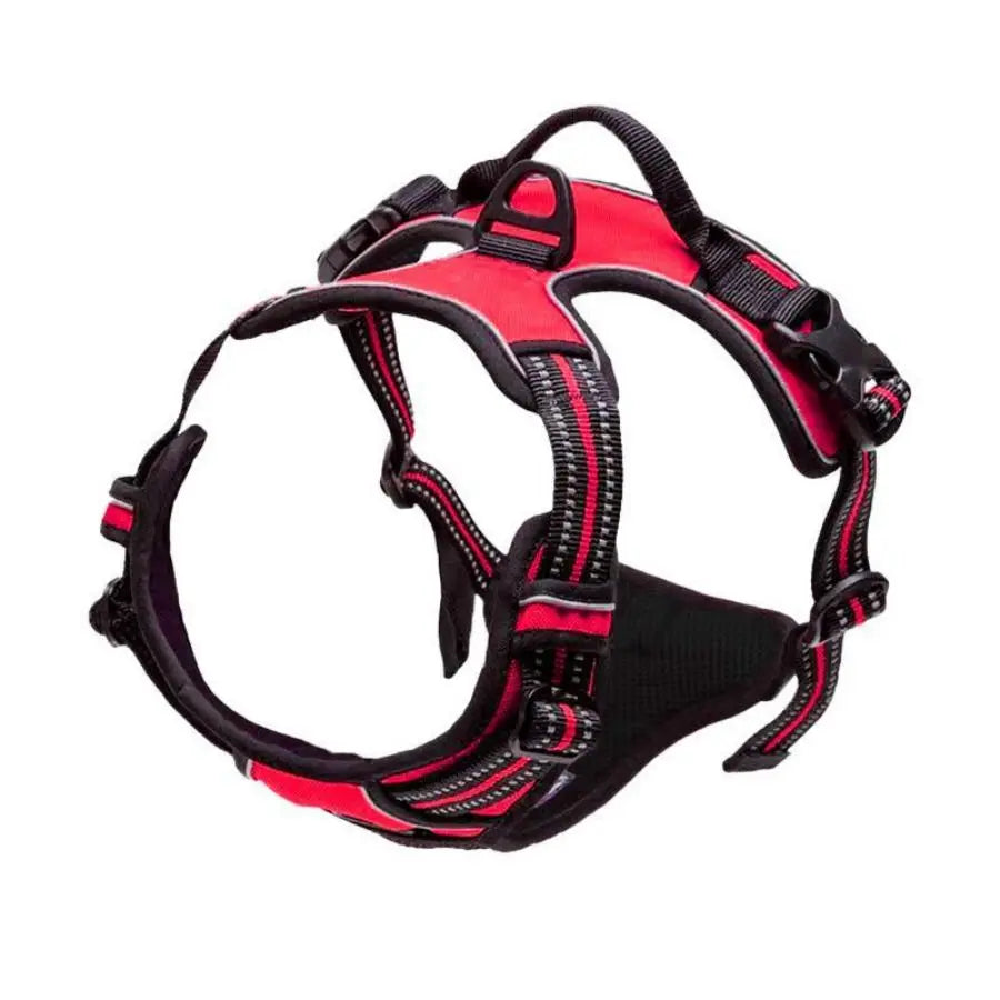 Heavy-Duty Front Clip Harness for Stress-Free Strolls