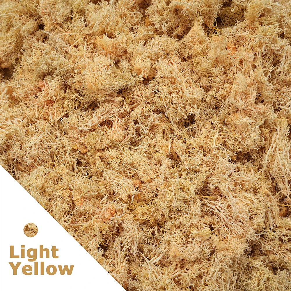 Artificial Moss for DIY Crafts & Home Décor