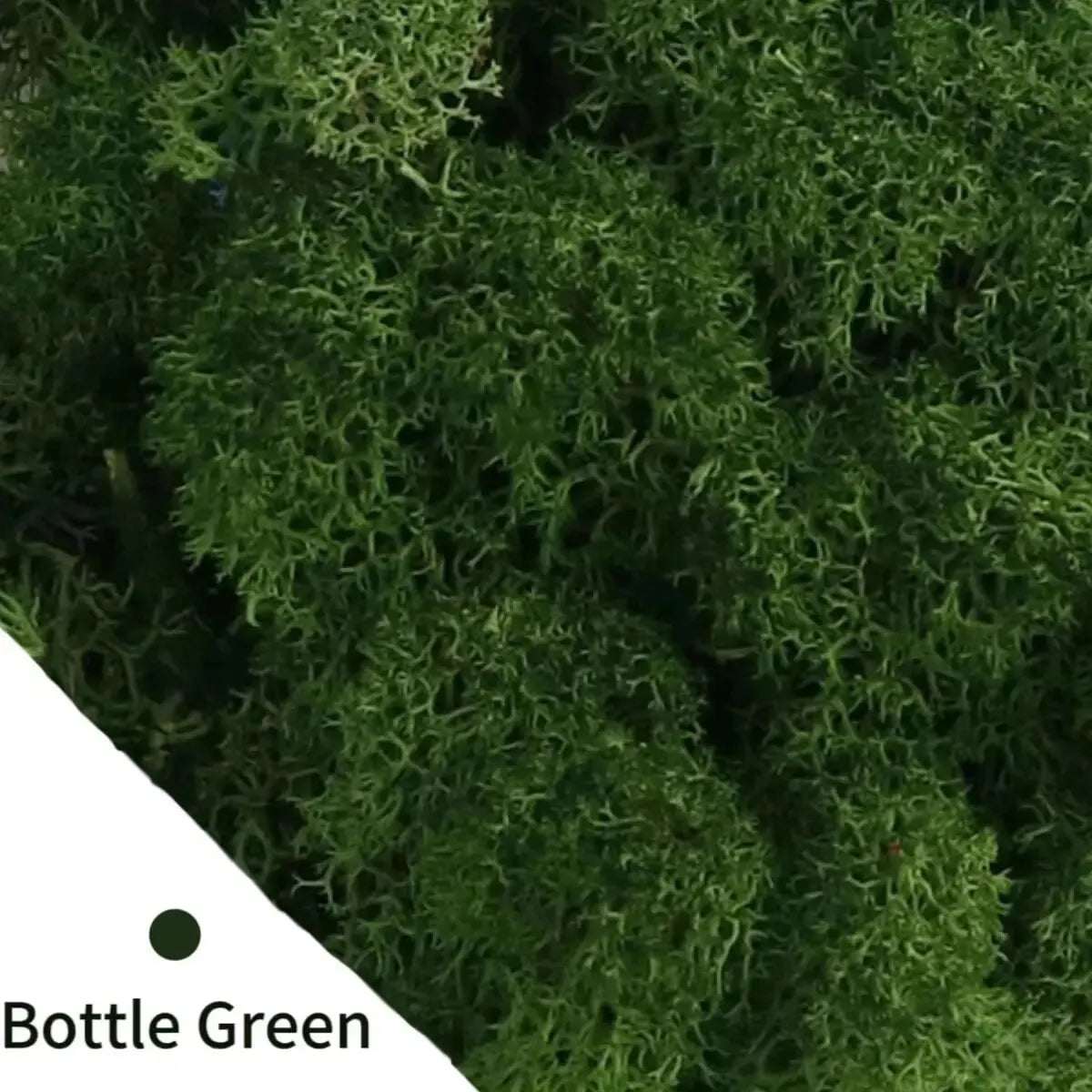 Artificial Moss for DIY Crafts & Home Décor