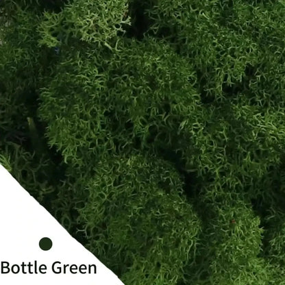 Artificial Moss for DIY Crafts & Home Décor