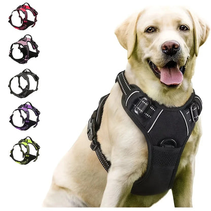 Heavy-Duty Front Clip Harness for Stress-Free Strolls