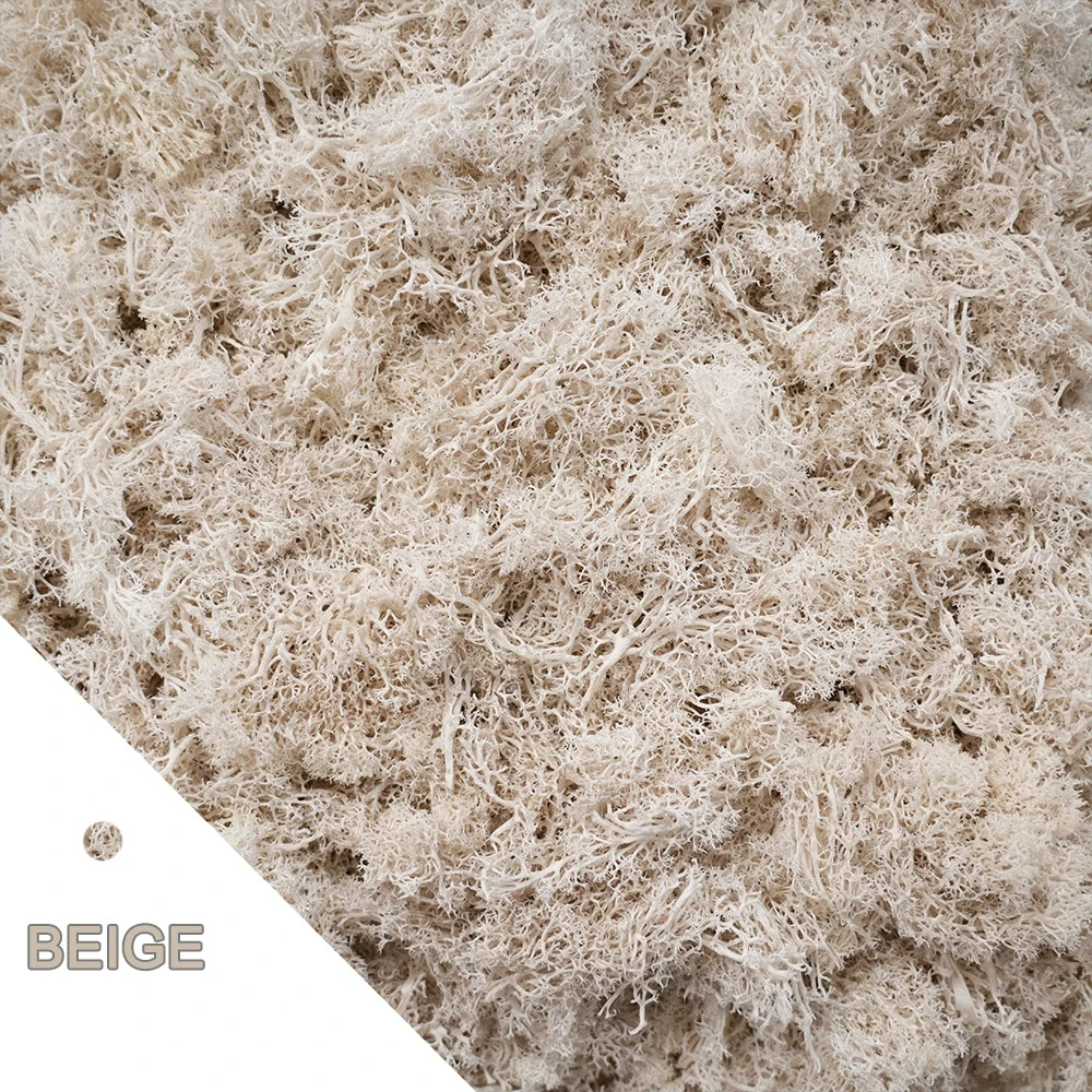 Artificial Moss for DIY Crafts & Home Décor