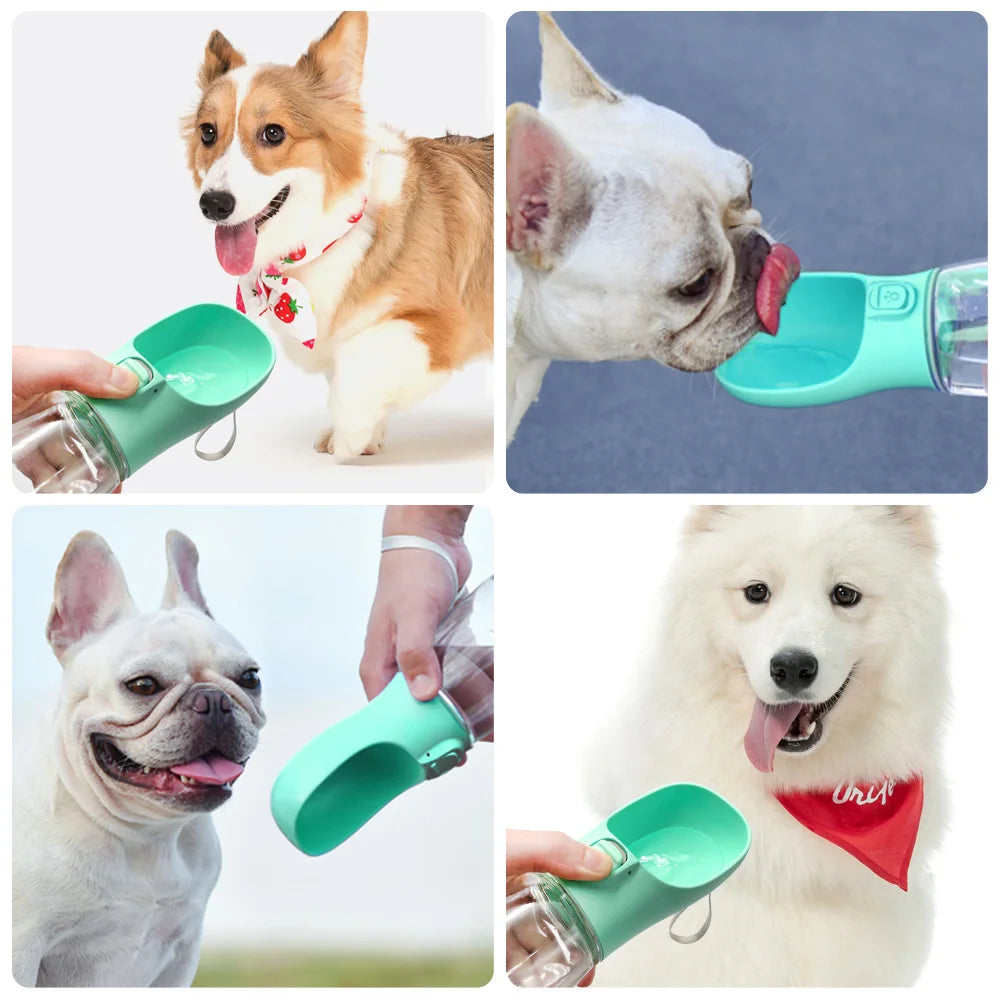 Portable Pet Drinking Bottle for Walks & Travel