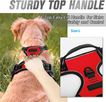 Heavy-Duty Front Clip Harness for Stress-Free Strolls