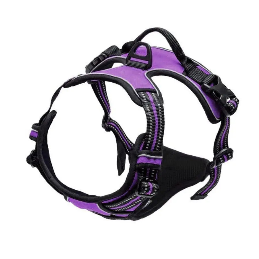 Heavy-Duty Front Clip Harness for Stress-Free Strolls