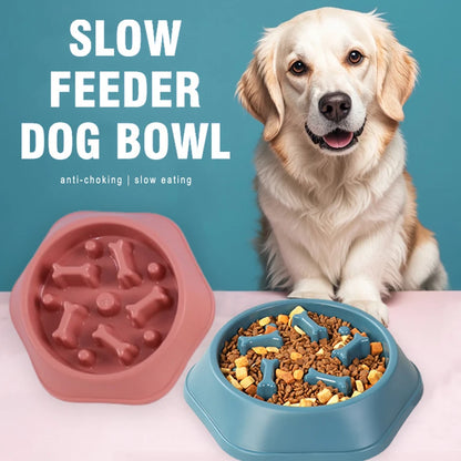 Anti-Choking Slow Feeding Puzzle Bowl