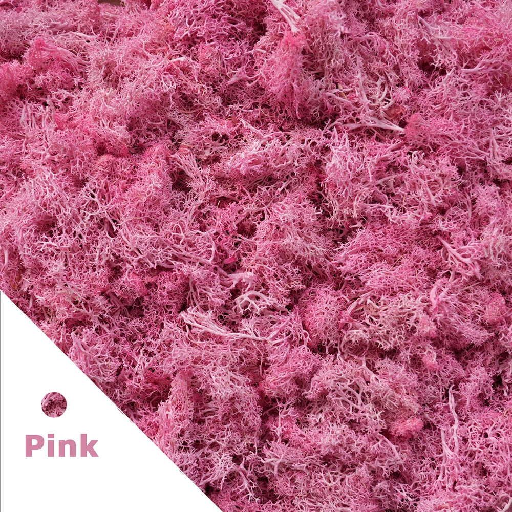 Artificial Moss for DIY Crafts & Home Décor