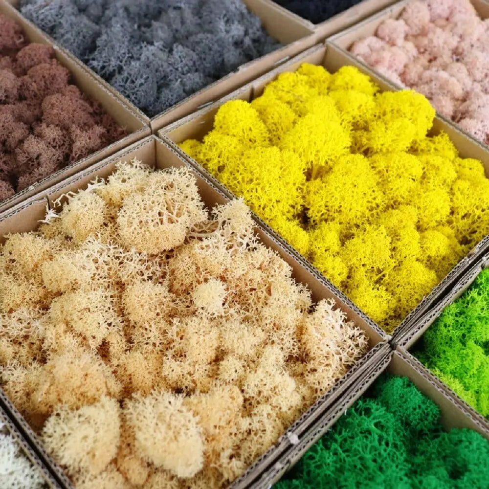 Artificial Moss for DIY Crafts & Home Décor