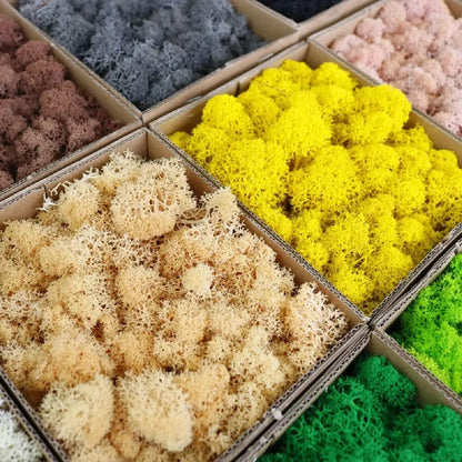 Artificial Moss for DIY Crafts & Home Décor