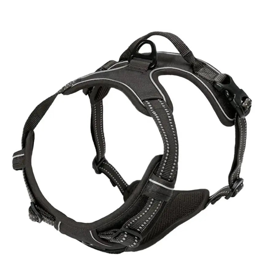 Heavy-Duty Front Clip Harness for Stress-Free Strolls