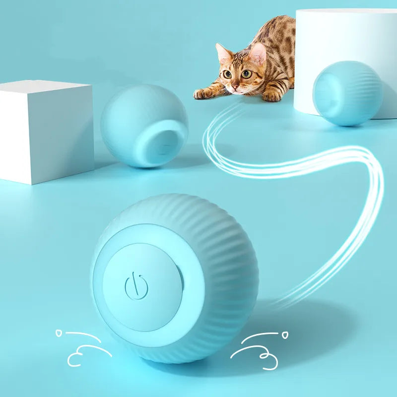 Automatic Interactive Play for Cats