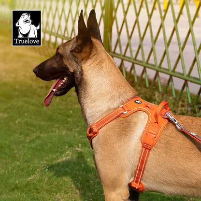 Dog Harness Adjustable, Reflective, and Built for Easy Walks