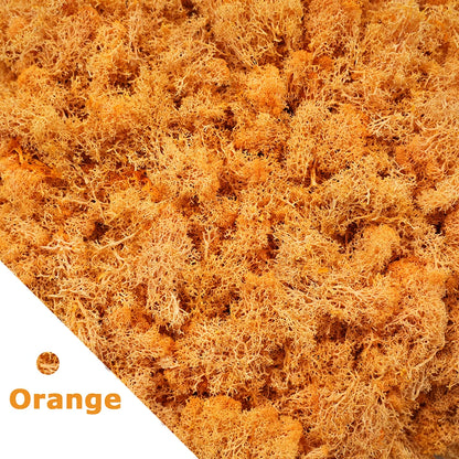 Artificial Moss for DIY Crafts & Home Décor