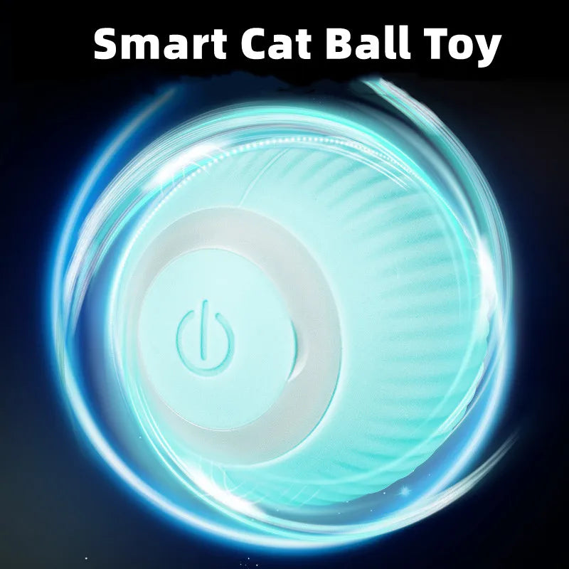 Automatic Interactive Play for Cats