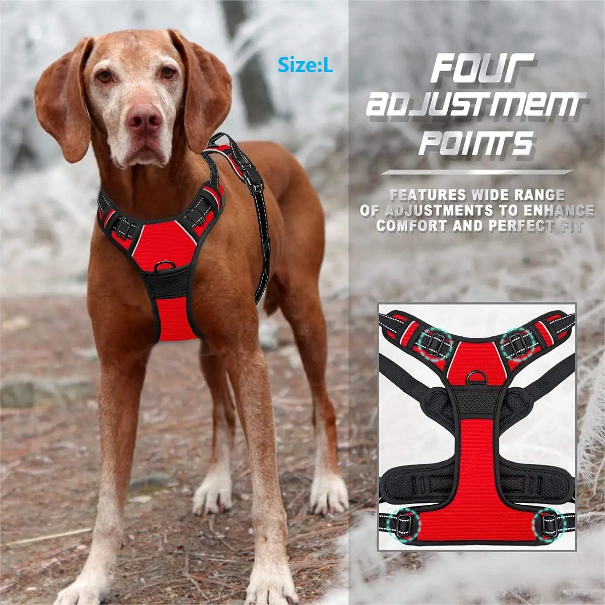 Heavy-Duty Front Clip Harness for Stress-Free Strolls