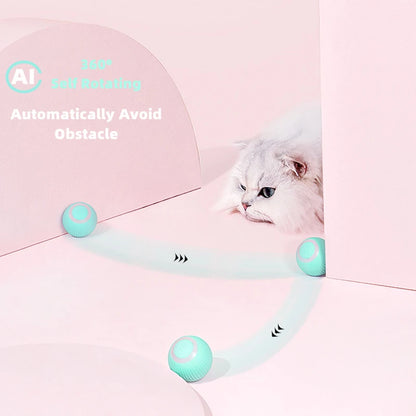 Automatic Interactive Play for Cats
