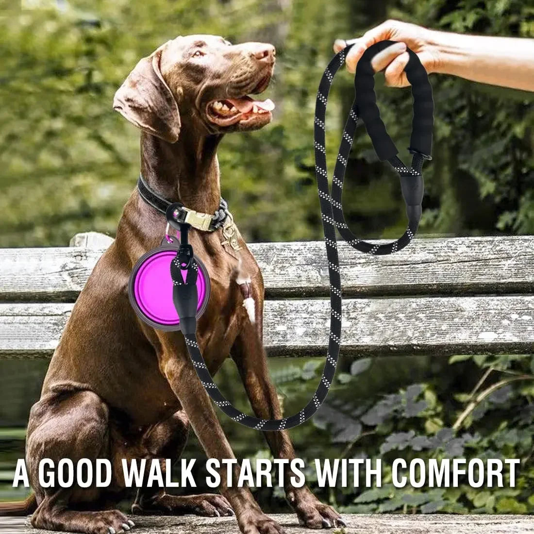 Durable Leash for Small, Medium, and Large Dogs